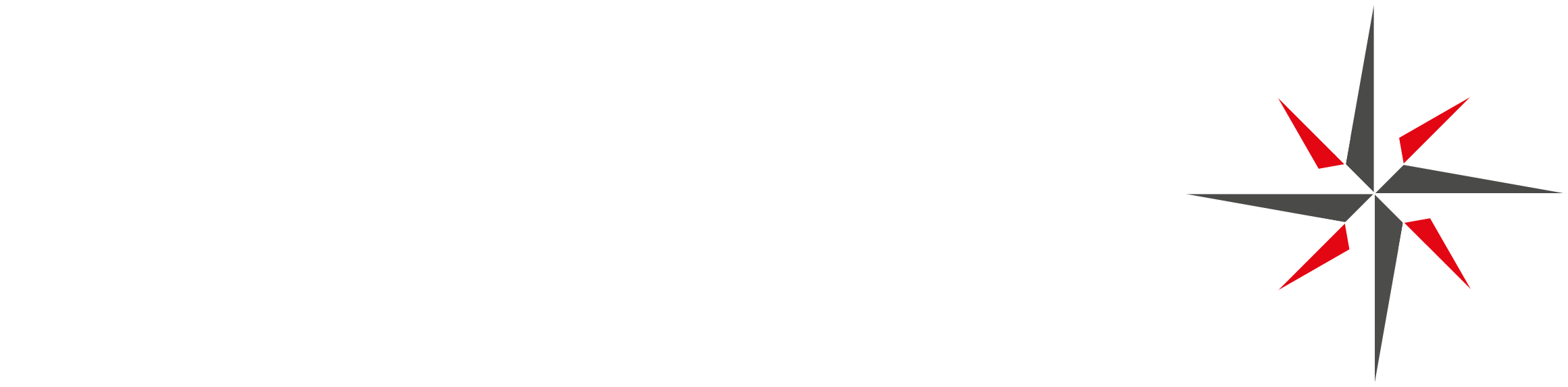 feigen-advisors-logo